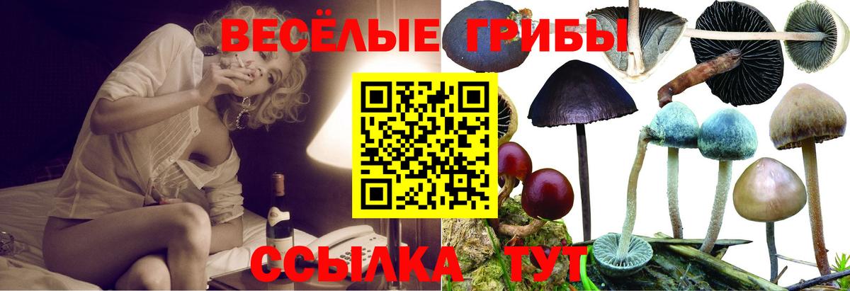 Кизляр  Псилоцибиновые грибы ЛСД  Вход с VPN 